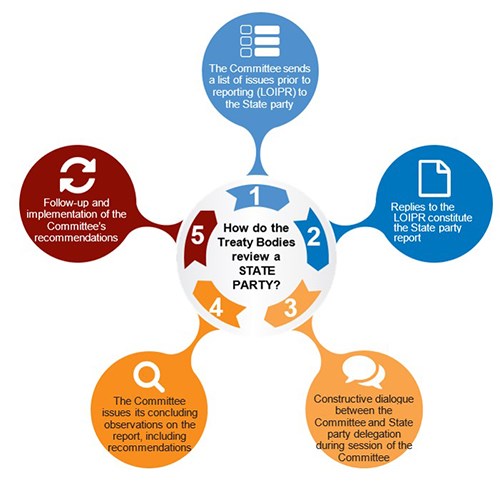 This image shows the cycle of how the Treaty Bodies review a State Party. The image talks through the steps outlined in this blog post.